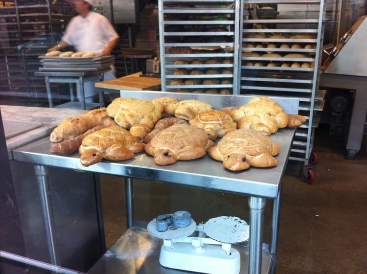 Turtle Bread Rolls