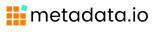 Metadata_-_Color_logo